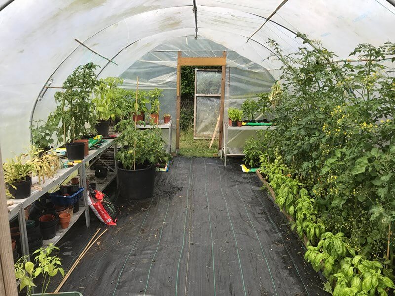 S.A.F.E Charity Gardening Group
