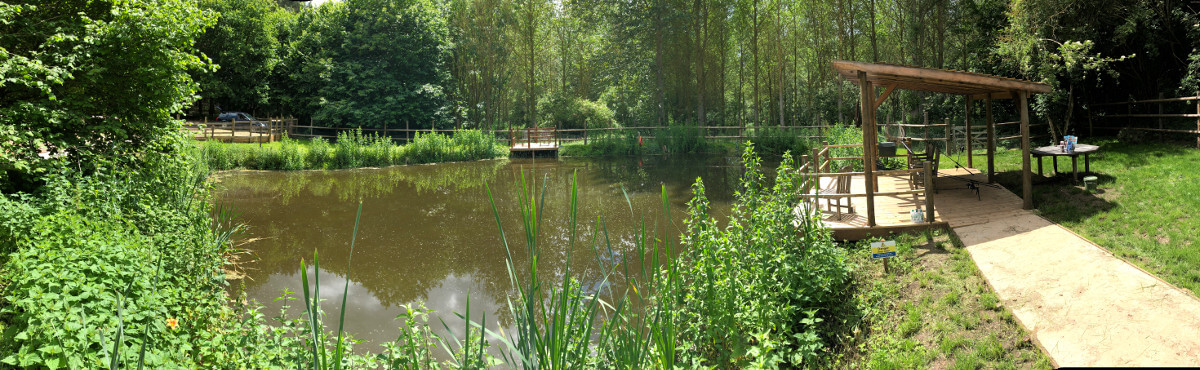 Brightwell Pond Fishing
